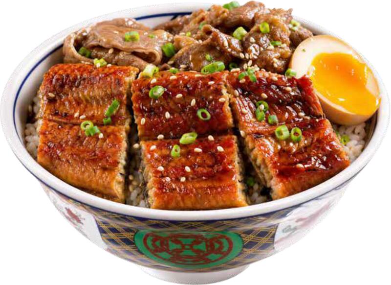Eel Rice Bowl
