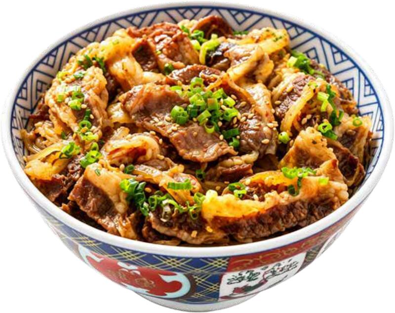 Beef Rice Bowl